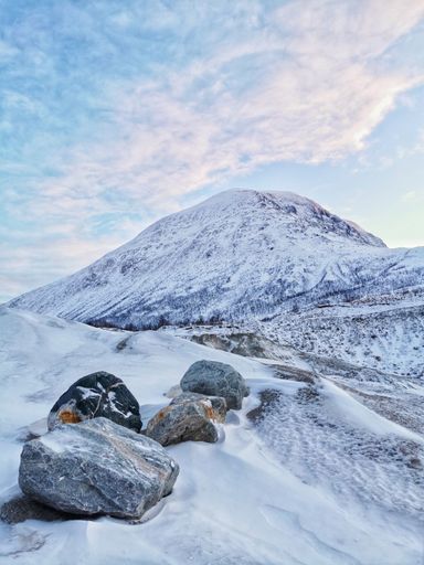 A vertical shot of the winter in the Arctic region, Kvaloya Island, Tromso, Norway