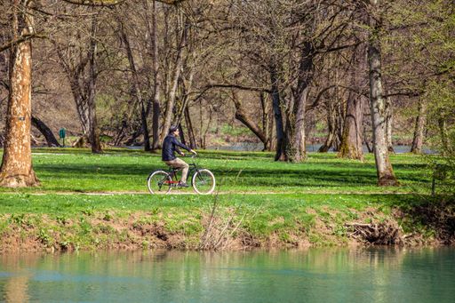 A male riding a bicycle in the park near the lake in Slovenia