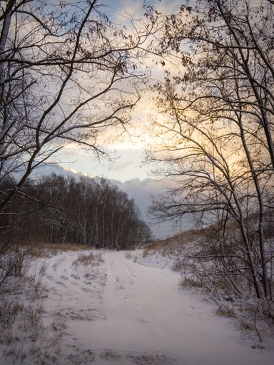 A beautiful shot of snowy mountain forest on background of the sun shining on the cloudy sky