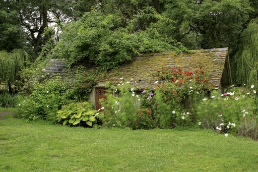 A wooden house in a grassy field surrounded by plants and flowers