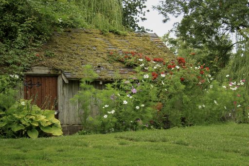 A wooden house in a grassy field surrounded by plant and flowers