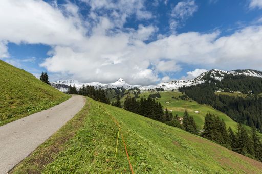 A beautiful shot of a trail through green valleys to snowy mountains in Vorarlberg, Austria
