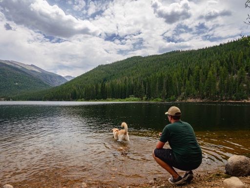 A beautiful shot of a young male playing with his dog in a lake in Granby