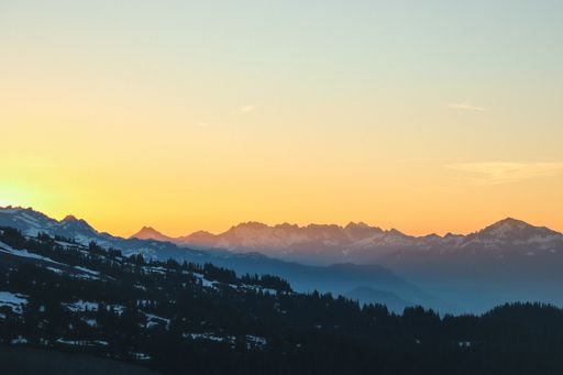 A beautiful view of a forest and rocky mountains during sunset
