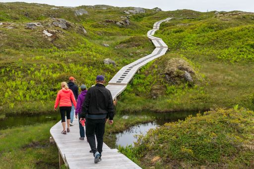 People hiking on the boardwalk, Barachois Falls Walking Trail, Newfoundland and Labrador, Canada.