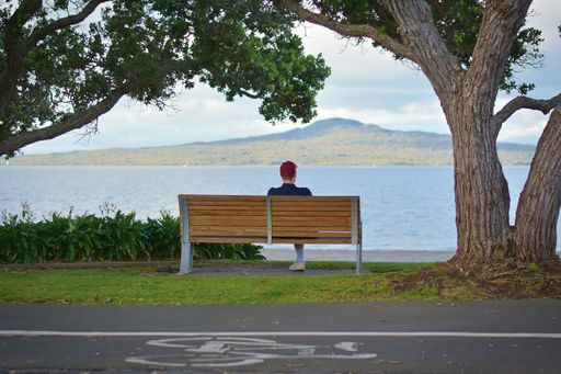 View of man sitting on bench and looking at Rangitoto dormant volcano island