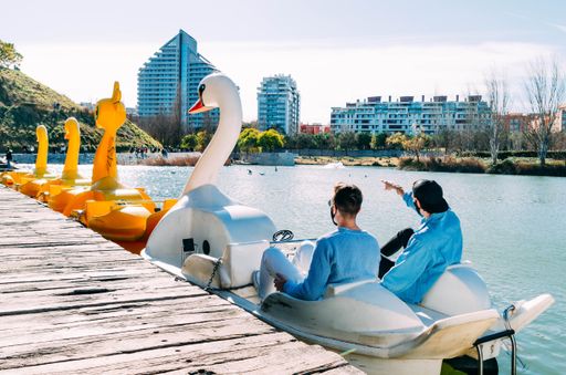 Picture of Gay Couple with Protective Face Mask Boarded in Swan Boat on the Lake of a City Park Pointing to Ducks With Building Background
