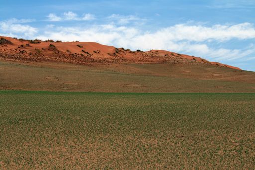 we visited the mystery fairy circles at Sossusvlei in Namibia after good rain and clear skies.