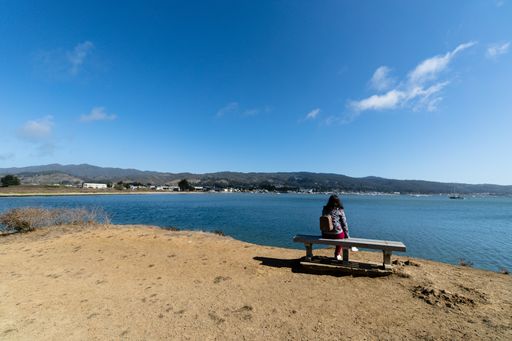 A rear view of a woman sitting on the bench watching the sea