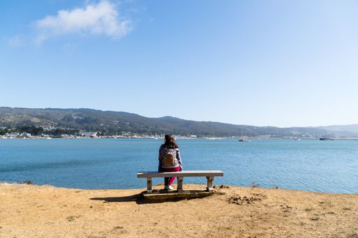 A beautiful shot of a female sitting on the bench looking in the seascape in Santa Monica, California
