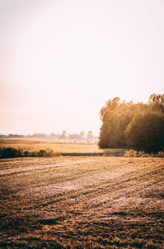 A vertical shot of a sunset over a field