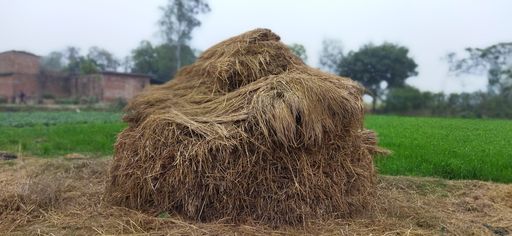 A hay at a farmland, green field