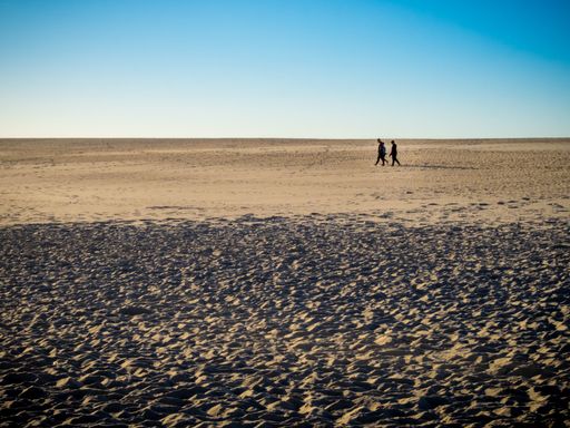 A group of people walking on the beach during daytime