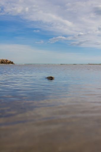 A vertical shot of a rock in a lake under cloudy sky