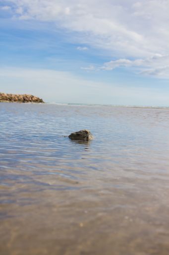A vertical shot of a rock in a lake under cloudy sky
