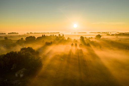 A mesmerizing shot of a beautiful sunrise with the sun rays spreading all over the forest trees