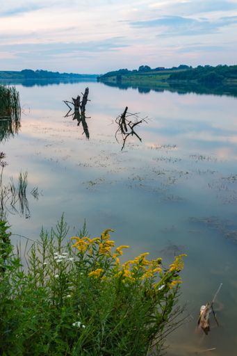 A vertical shot of a lake surrounded by greenery under a cloudy sky