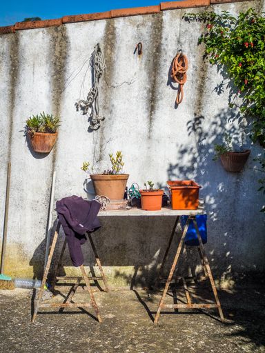 A vertical shot of a lot of plants in flower pots on an old table during daytime