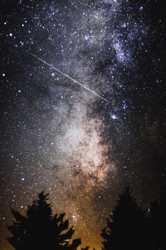 A beautiful scenery of the Milky Way galaxy in the night sky over a range of trees