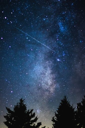 A beautiful scenery of the Milky Way galaxy in the night sky over a range of trees