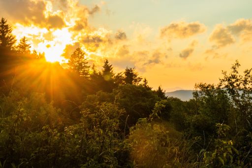 A beautiful scenery of landscape with trees and greenery with the sun shining through the clouds