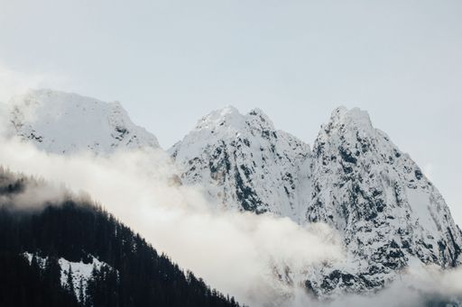 A scenic view of the fog covering a green dense forest with snow capped mountains in the background