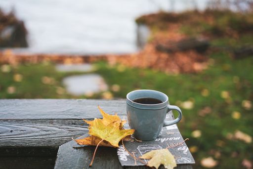 A closeup shot of a cup of coffee and autumn leaves in the garden