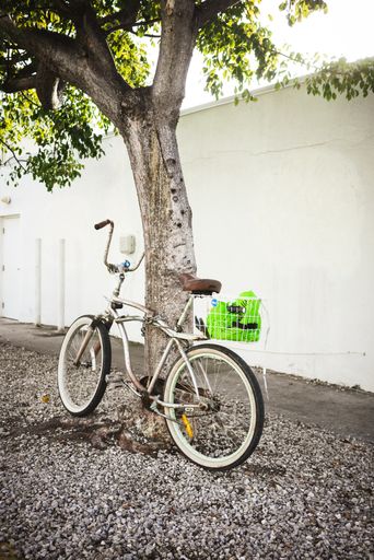 A vertical shot of a bicycle parked under a tree