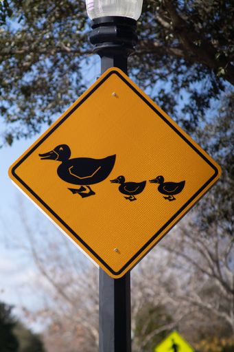 A sign warning about ducks crossing the road