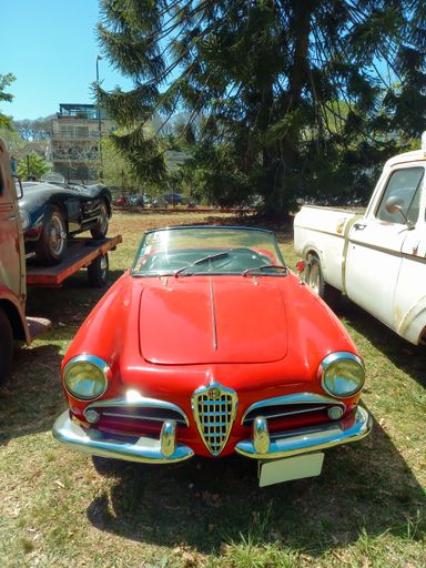 Old red sport Alfa Romeo Giulietta Spider roadster circa 1960 in a park. Nature, trees. Autoclasica 2022 classic car show. Front view. High angle.