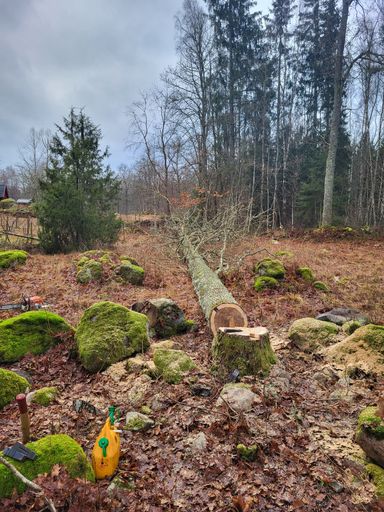 A beautiful shot of a log on a rocky ground