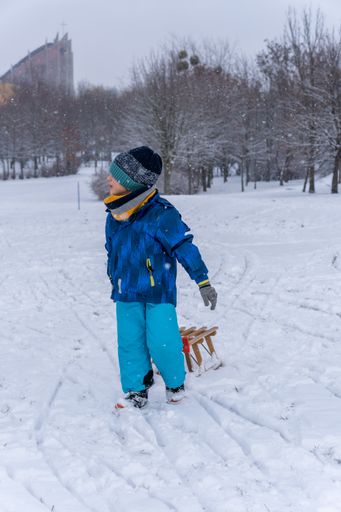 Young Polish Caucasian boy pulling a wooden sled on snow at a park on a cold winter day.