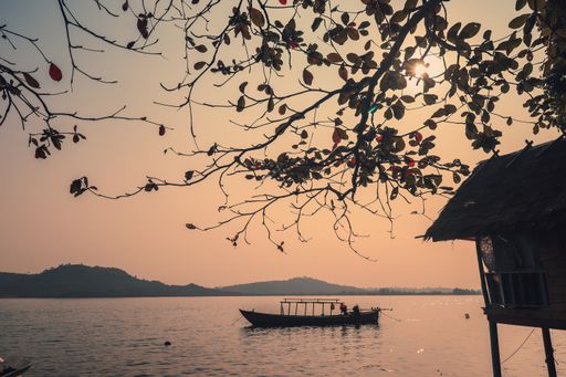 A closeup shot of a tree branch on the background of the ocean with a house and boat during the sunset