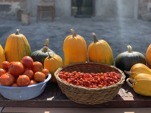 A wide angle shot of several pumpkins and other fruits put next to each other in front of a building