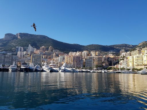 A beautiful shot of boats on  the water near city buildings in Monte-Carlo Monaco