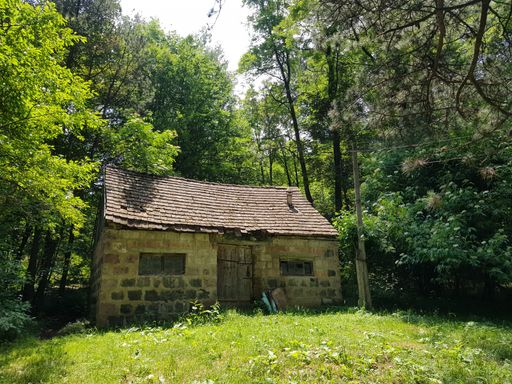 A small abandoned stone house in the middle of a green forest