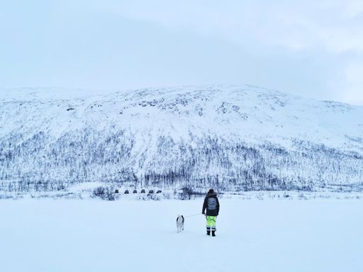 A person walking with a dog at Kattfjordvatnet lake, Kvaloya island, Norway during winter