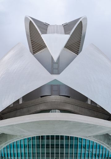 Vertical photo of the Palau de les arts Reina Sofia in the City of Arts and Sciences during sunset in Valencia, Spain.