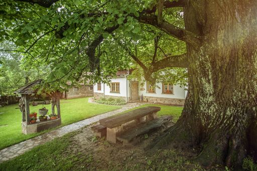 A tree and a well in the garden of a private house in the countryside in Slovenia