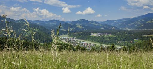 A panoramic shot of a beautiful landscape at Vuzenica valley, Carinthia region, Slovenia