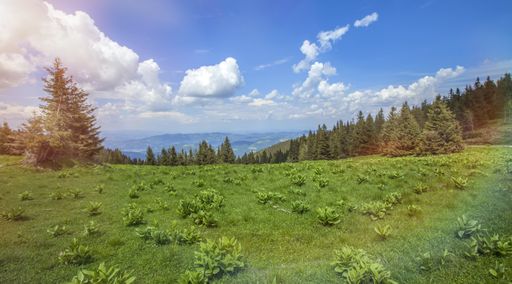 A panoramic shot of a green field under the cloudy sky in the countryside in Slovenia