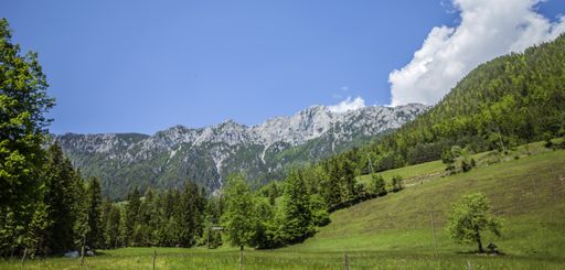 A panoramic shot of a beautiful landscape of the Charinthia region in Slovenia in summer
