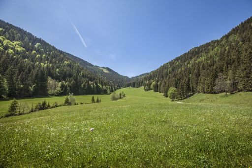 A beautiful landscape of the Charinthia region in Slovenia in summer