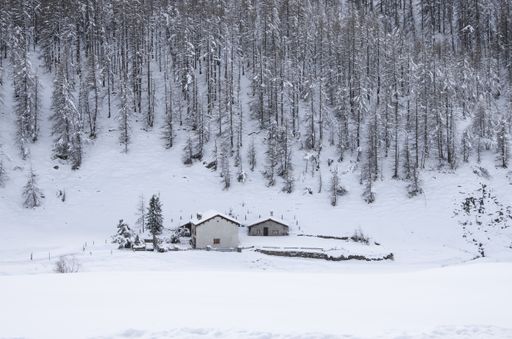 A beautiful view of the cabins covered in snow, surrounded by the forest on a snowy winter day