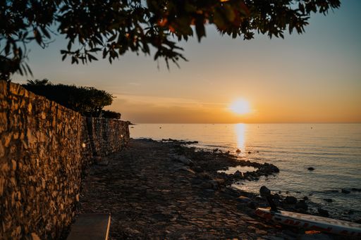 A wide angle shot of a sunset over a beach seen from under a tree branch