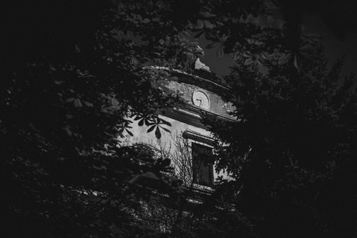 A part of the building with a clock surrounded by tree branches and leaves