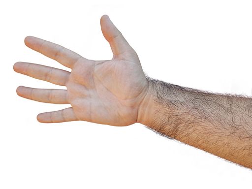 The hand of a male with an open palm isolated on a white background