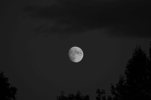 A beautiful view of a full moon in the dark sky over the field