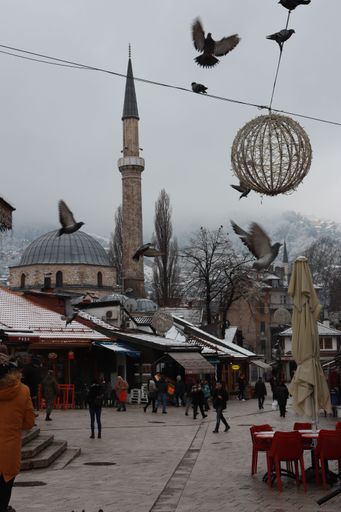 A vertical shot of a flock of pigeons taking flight from a busy market in Sarajevo