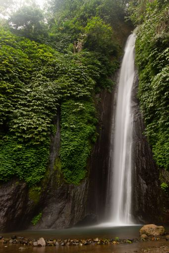 A vertical shot of a beautiful narrow waterfall in a forest